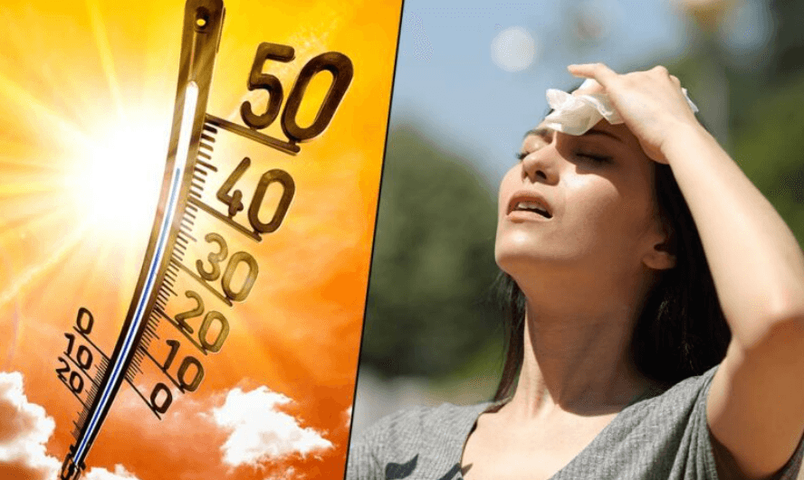 Record heatwaves in India may soon surpass human survivability limit